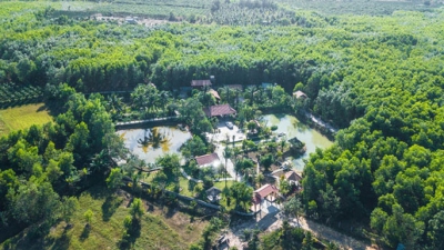 Săn đất vườn làm farmstay