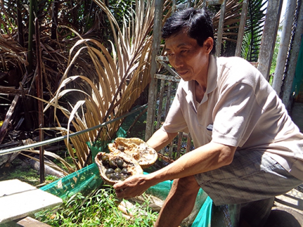 Làm giàu từ mô hình VAC