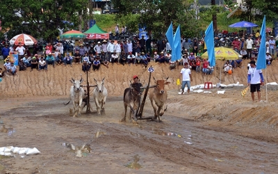 Kết nối phát triển du lịch TP Hồ Chí Minh - đồng bằng sông Cửu Long