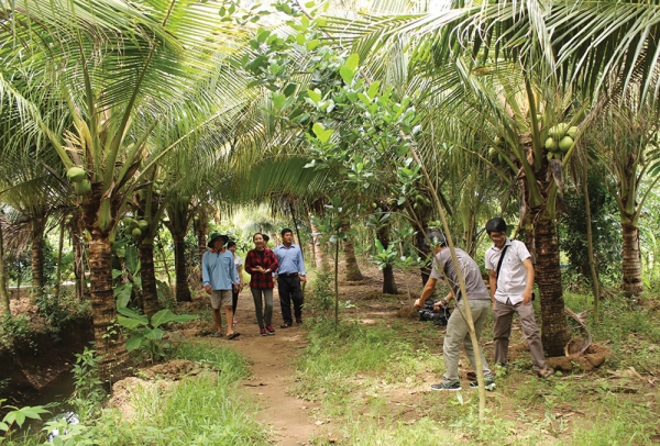 Chợ Mới phát triển du lịch sinh thái