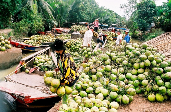 Xây dựng Bến Tre trở thành trung tâm trái cây đặc sản vùng ĐBSCL