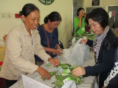 Trồng rau hữu cơ quy mô nhỏ, siêu nhỏ