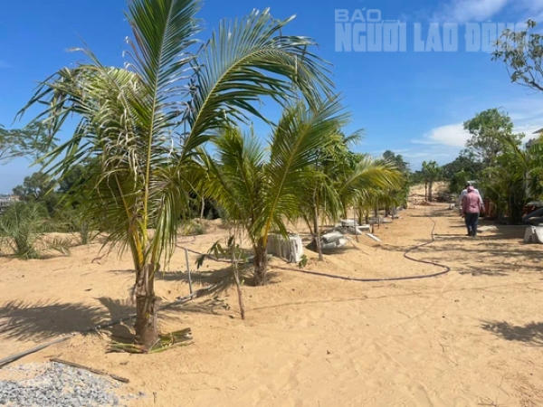 Vũng Tàu đề nghị chuyển công an truy cứu vụ vi phạm đất đai quy mô lớn