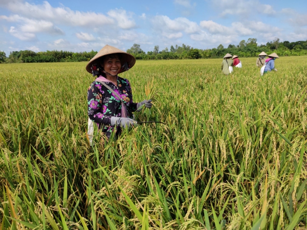 Sản xuất theo hướng hiện đại, xanh, sạch, đa dạng và bền vững