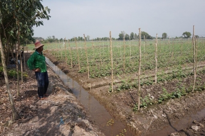 Tân Thạnh: 7 cơ sở vi phạm kinh doanh phân bón, thuốc trừ sâu giả