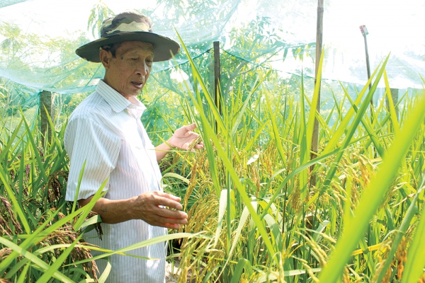 Nâng tầm sản phẩm từ nhãn hiệu tập thể