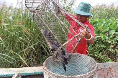 Nhiều mô hình làm ăn trong lũ