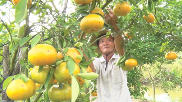 Các điểm du lịch chuẩn bị đón khách