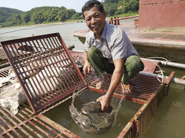 Nuôi thủy sản không đăng ký sẽ bị phạt hành chính