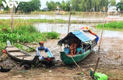 Người dân An Giang ngóng mùa nước nổi để mưu sinh