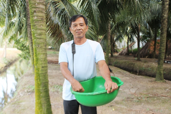 Cựu chiến binh Ba Xuân trồng dừa xiêm xanh làm giàu