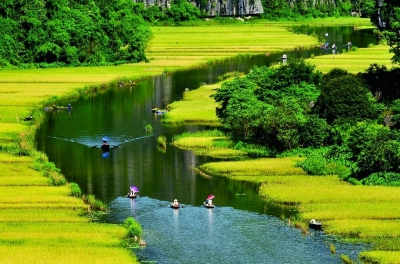 Mùa vàng Tam Cốc đẹp ngỡ ngàng từ đỉnh &quot;Vạn lý trường thành Việt Nam&quot;