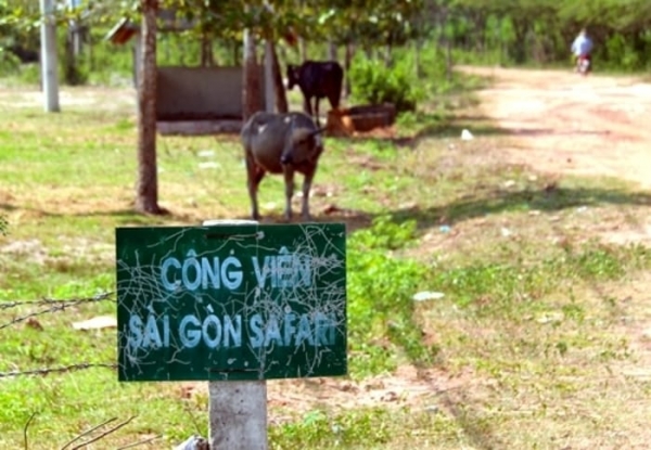 Vụ Sài Gòn Safari “treo” 14 năm”: Hàng loạt cơ quan chức năng TP.HCM bị quy trách nhiệm