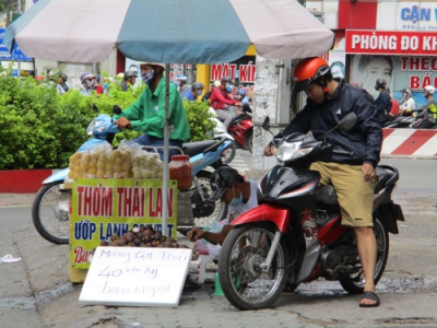 Việt Nam rộ mùa, trái cây Thái Lan vẫn đổ bộ