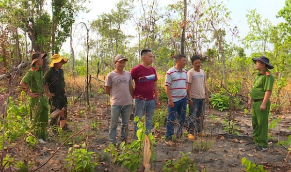 Điều tra, xử lý bốn đối tượng phá gần hai héc-ta rừng