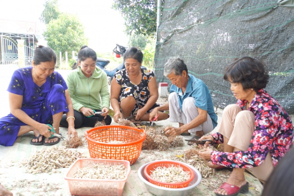 Ngân hàng chính sách xã hội giúp người dân có điều kiện vươn lên thoát nghèo