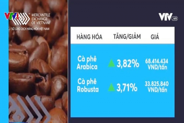 Giá cà phê thế giới tăng lên mức đỉnh của nhiều năm