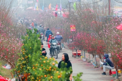 Dự báo thời tiết Tết Nguyên đán Canh Tý 2020 chi tiết từ 30 Tết đến mùng 5 Tết