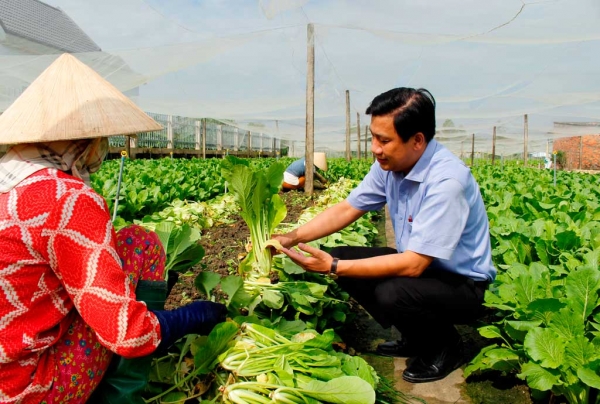 Nhiều mô hình sản xuất rau ứng dụng công nghệ cao mang lại hiệu quả