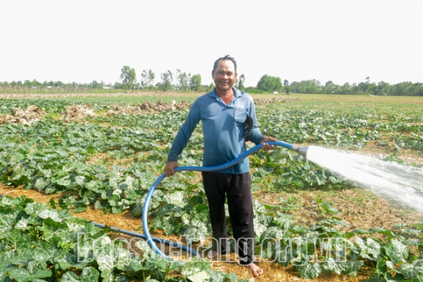 TP. Sóc Trăng Nhân lên nhiều mô hình nông nghiệp hiệu quả