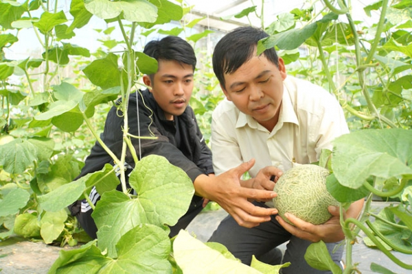 Nông dân tăng thu nhập nhờ khai thác giá trị nông sản