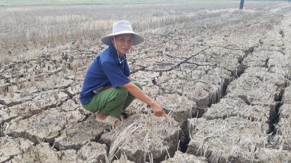 Hạn khốc liệt, Cà Mau &quot;cầu viện&quot; Trung ương