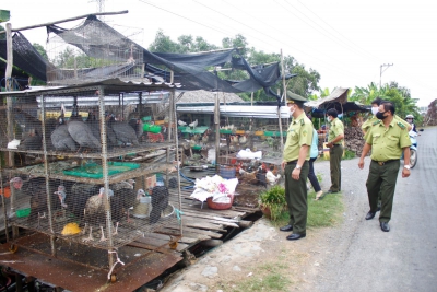 Long An: Tăng cường kiểm tra hoạt động kinh doanh động vật hoang dã