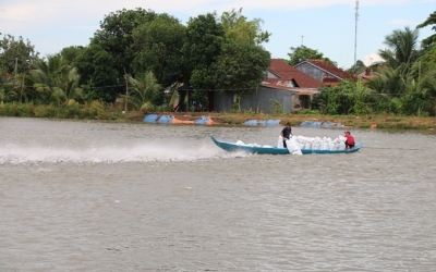 Sớm xây dựng hình ảnh và thương hiệu cá tra Việt Nam