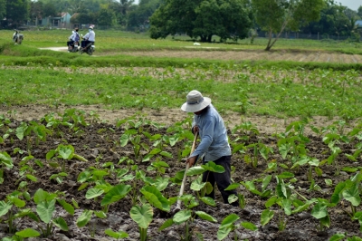 Khởi sắc trong lĩnh vực nông nghiệp