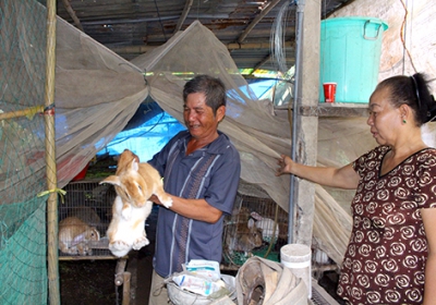 Tăng thêm thu nhập nhờ nuôi thỏ