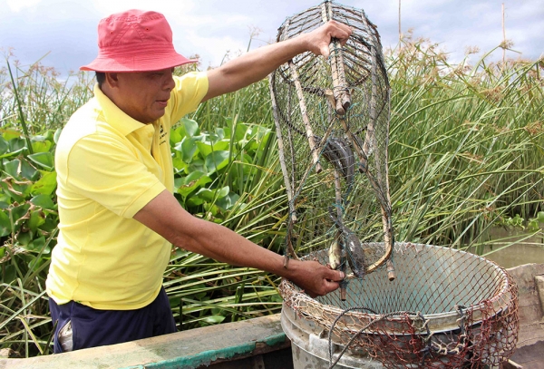 Cá đồng “lên ngôi”