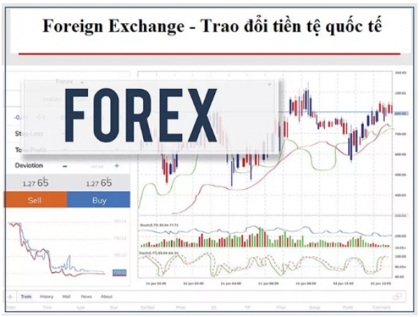 Công an vạch trần hình thức kinh doanh, giao dịch sàn Forex