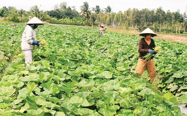 Liên kết để đạt hiệu quả cao hơn