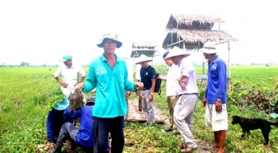 Khai thác văn hóa ẩm thực trong du lịch