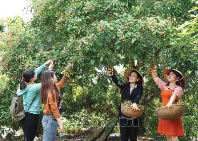 Khu du lịch Sông Trẹm - điểm kết nối cung đường du lịch