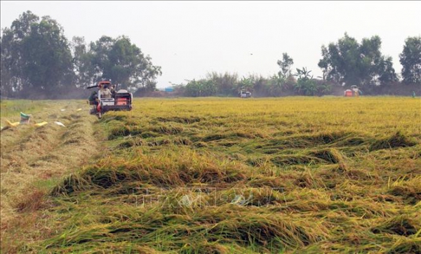 Chuyển mục đích sử dụng đất tại 2 tỉnh Vĩnh Long, Kiên Giang