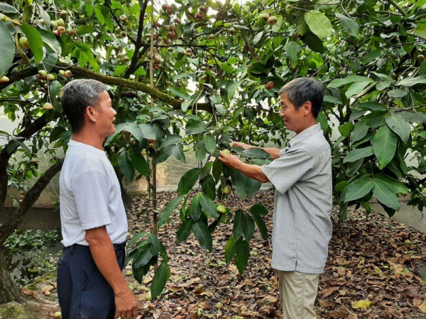 Thiết thực chăm lo đời sống nhân dân