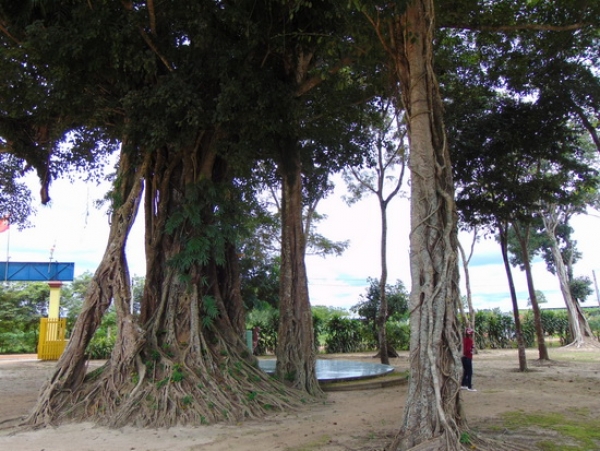 Long Giang- miền cổ tích Bến Cầu