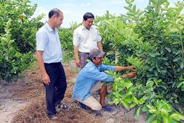 Sản xuất nông nghiệp an toàn