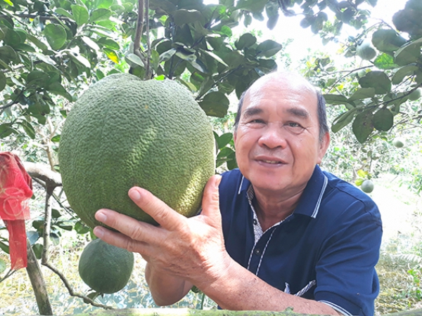 Làm giàu trên đất phèn