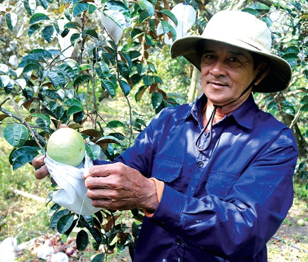 “Bắt tay” làm nông sản sạch