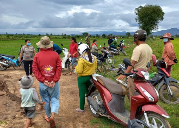 27 hộ dân ở Gia Lai kêu cứu vì ruộng lúa biến thành mỏ cát