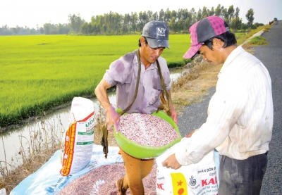 Giá phân bón tăng cao, nông dân gặp khó