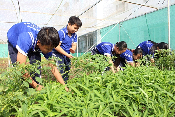 Chung sức chăm lo, rèn luyện đội viên