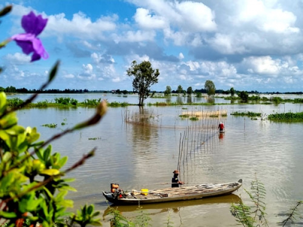 Miền Tây mong ngóng mùa lũ lớn