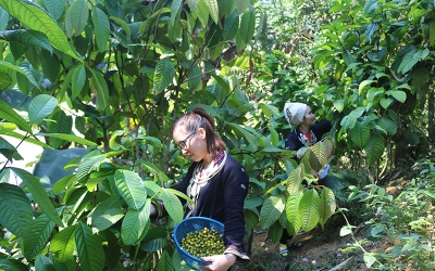 Về nơi nguồn cội