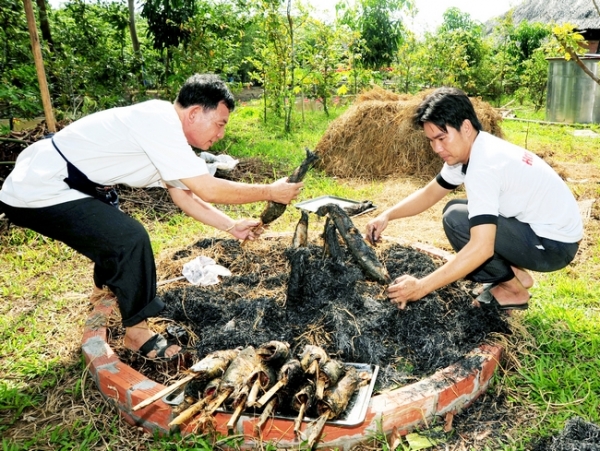 Cá lóc nướng trui