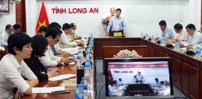 Long An cấp bách chống dịch tả heo Châu Phi