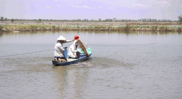 Đổ nợ vì phá ruộng nuôi cá