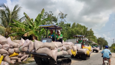 Ngành gạo bị áp lực chi phí